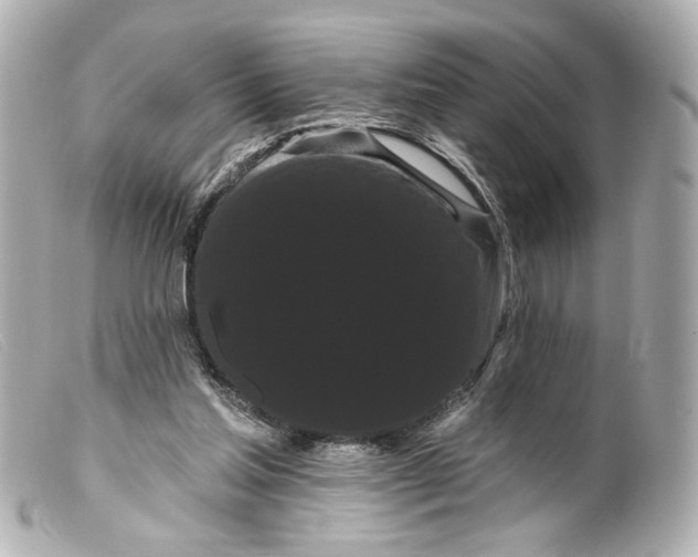 X0000099380205200805291135