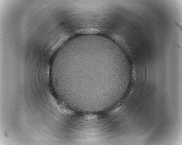 X0000099380206200805291135
