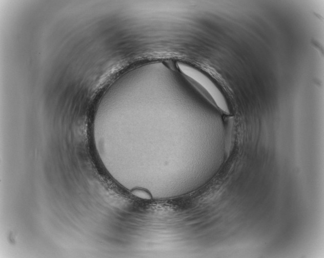 X0000099380207200805291135