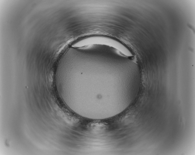 X0000099380208200805291135