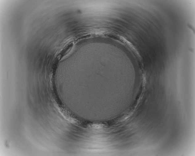 X0000099380209200805291135