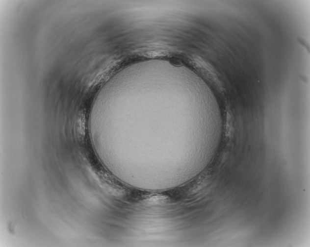 X0000099380210200805291135