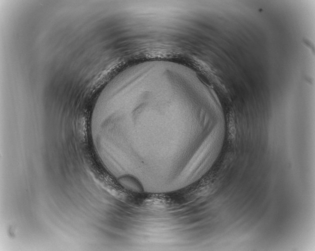 X0000099380211200805291135