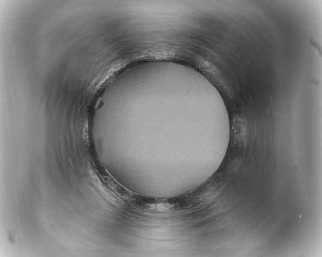 X0000099380212200805291135