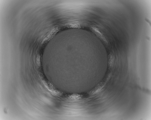 X0000099380213200805291135