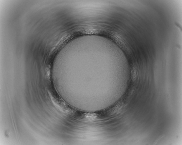 X0000099380214200805291135