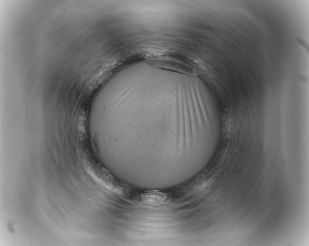 X0000099380215200805291135