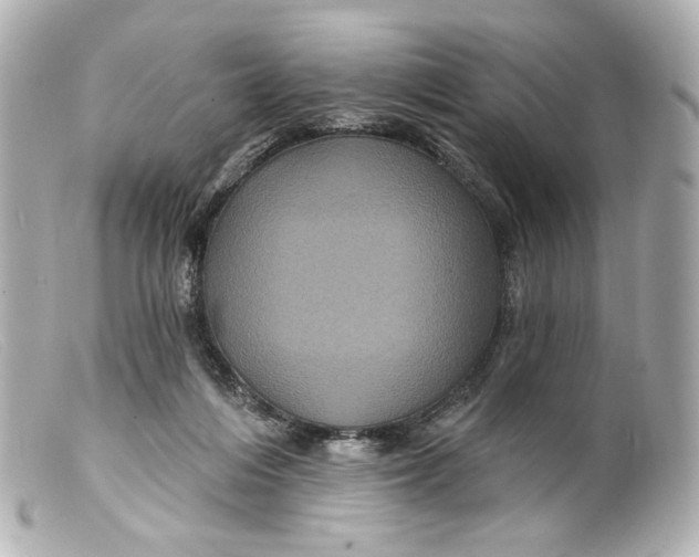 X0000099380216200805291135
