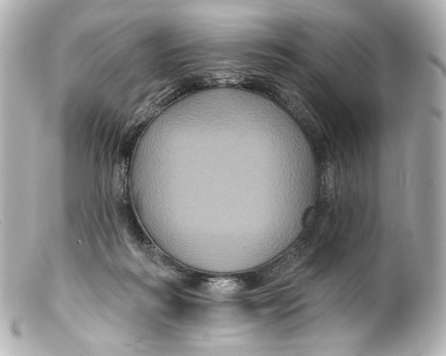 X0000099380218200805291135