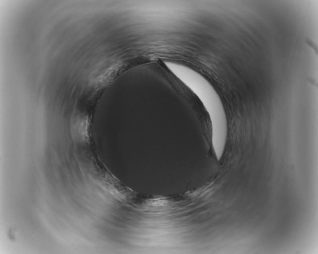 X0000099380219200805291135