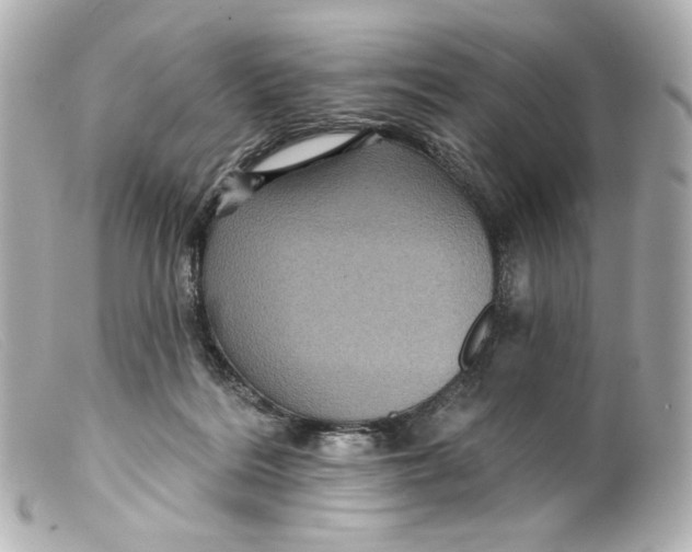 X0000099380220200805291135