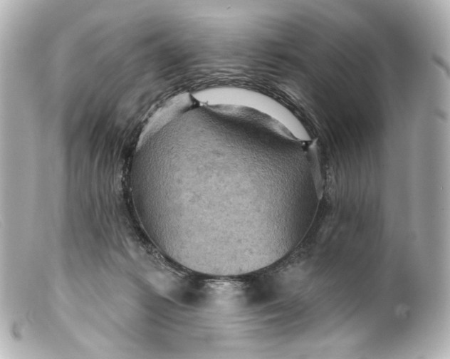 X0000099380221200805291135