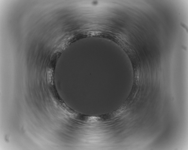 X0000099380222200805291135