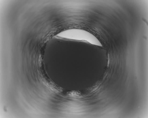X0000099380223200805291135