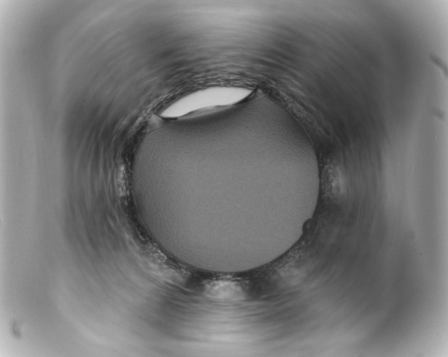 X0000099380224200805291135