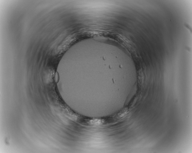 X0000099380225200805291135