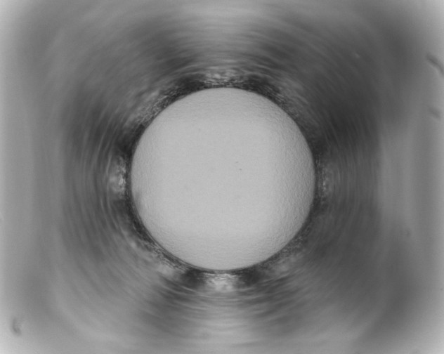 X0000099380226200805291135