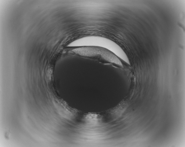 X0000099380227200805291135