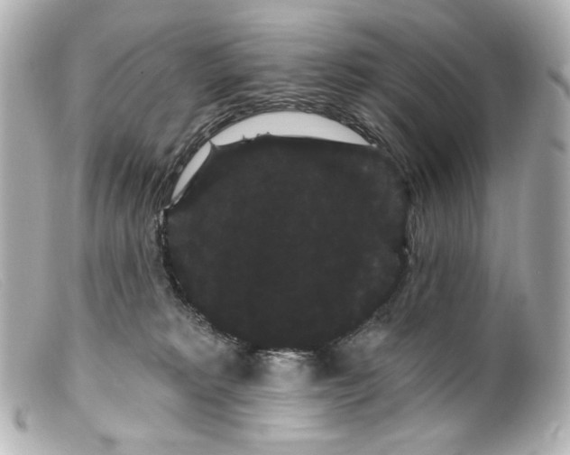 X0000099380229200805291135