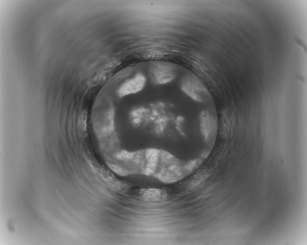 X0000099380230200805291135