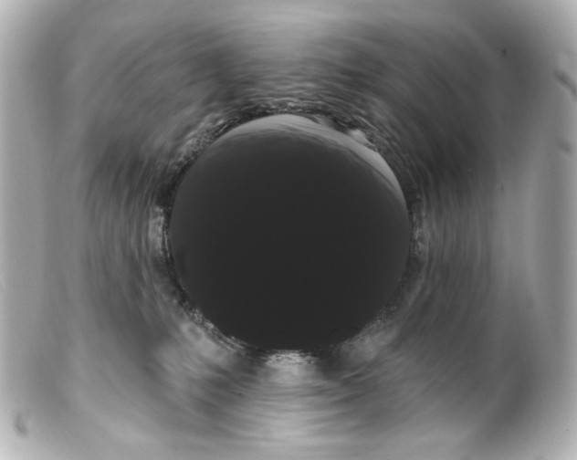 X0000099380231200805291135