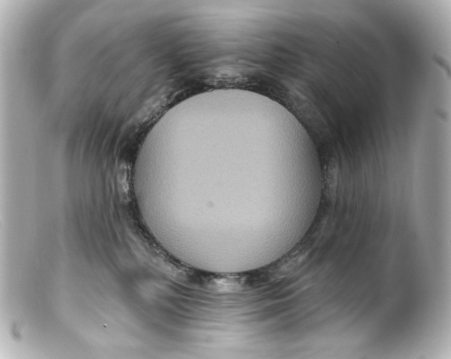 X0000099380232200805291135
