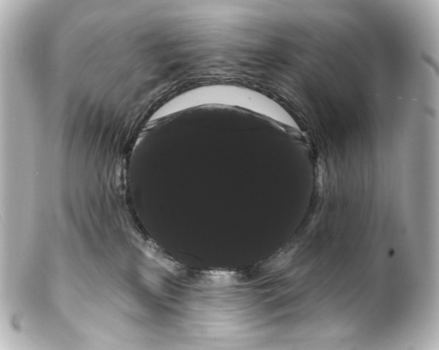 X0000099380233200805291135