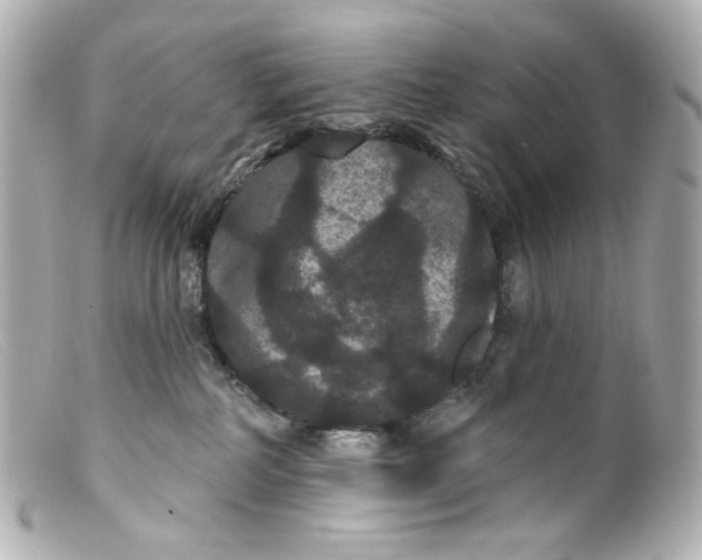 X0000099380234200805291135