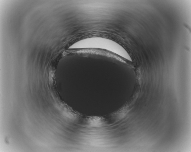 X0000099380235200805291135