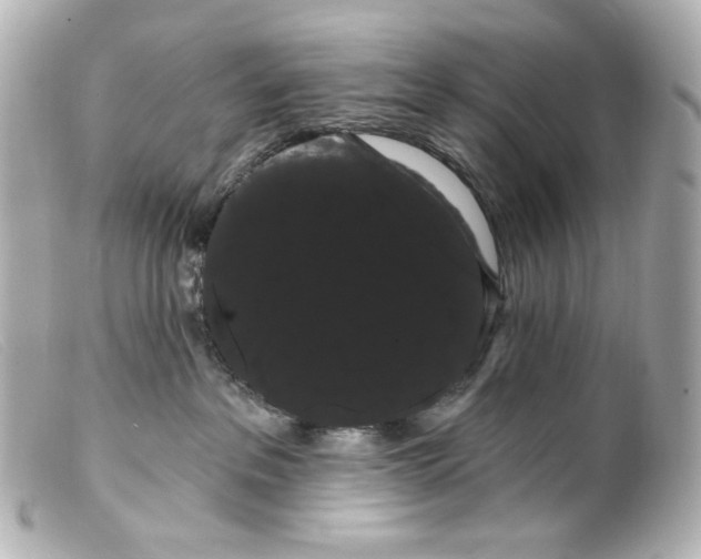 X0000099380237200805291135