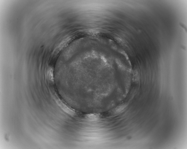 X0000099380238200805291135