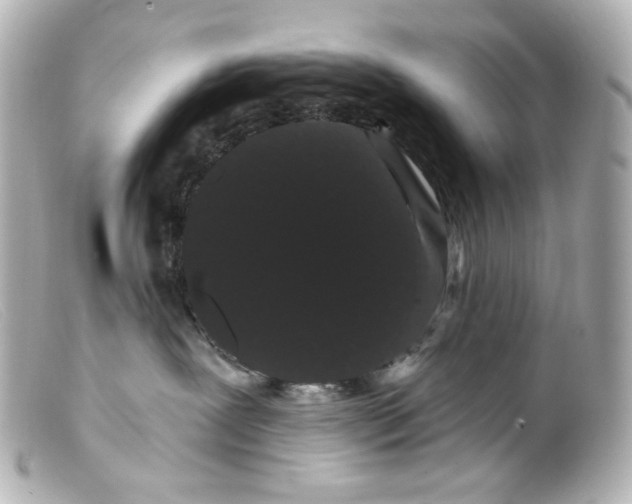 X0000099380239200805291135