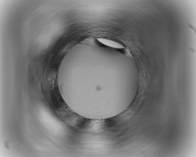 X0000099380240200805291135