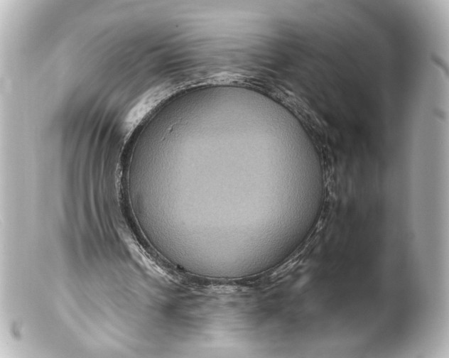 X0000099380242200805291134