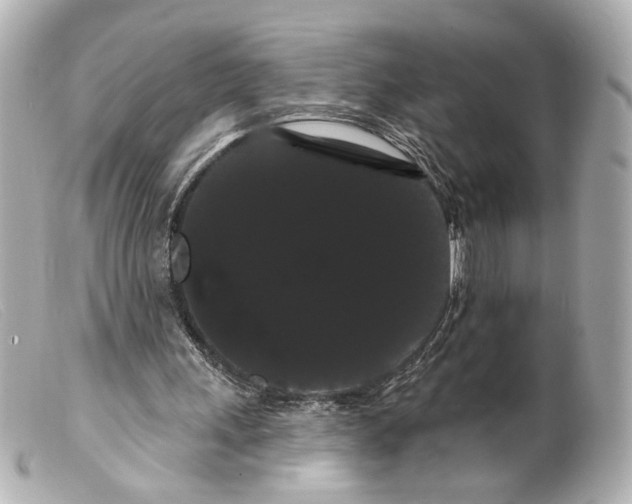 X0000099380243200805291134