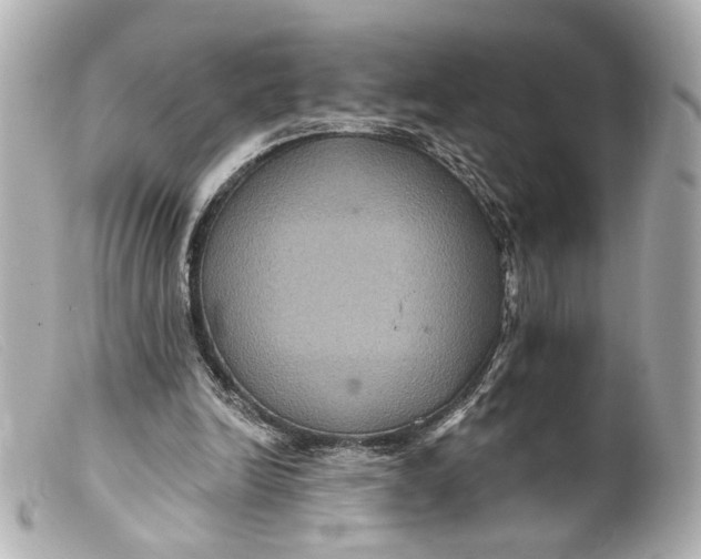 X0000099380246200805291134