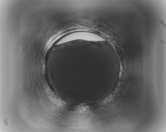 X0000099380247200805291134