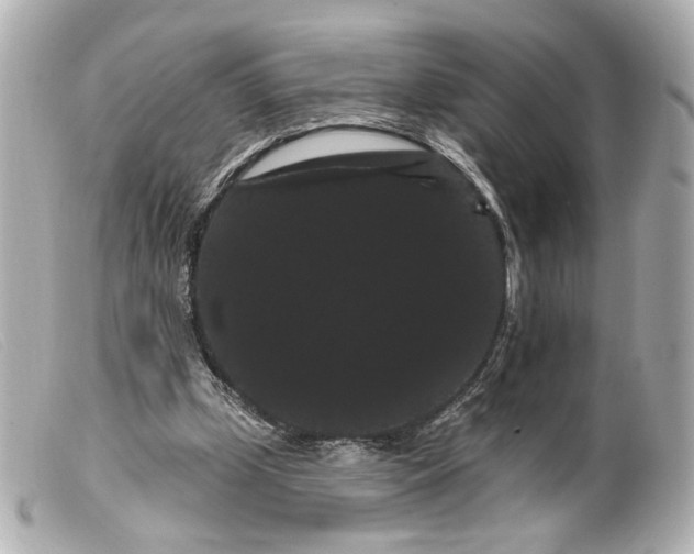 X0000099380249200805291134