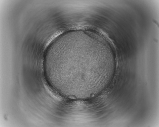 X0000099380250200805291134