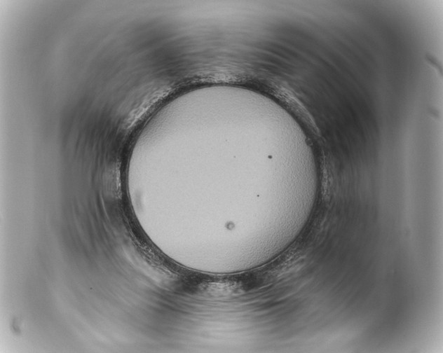 X0000099380251200805291134