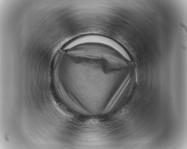 X0000099380252200805291134