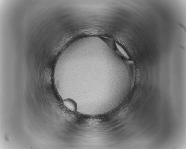 X0000099380255200805291134