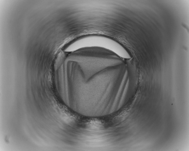 X0000099380256200805291134