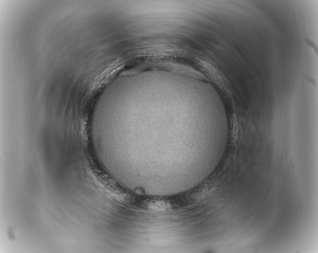 X0000099380258200805291134