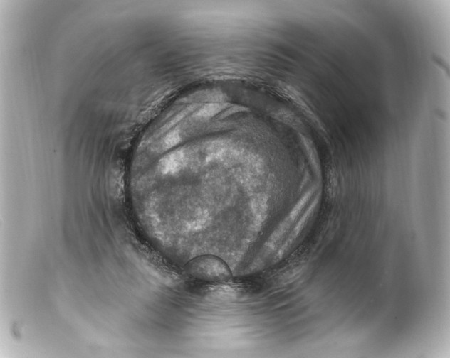 X0000099380259200805291134