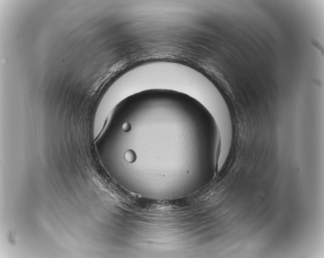 X0000099380260200805291134