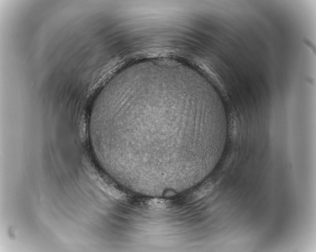 X0000099380261200805291134