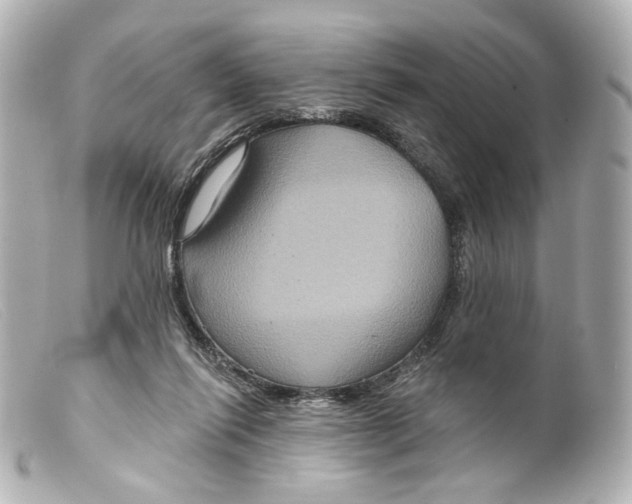 X0000099380262200805291134