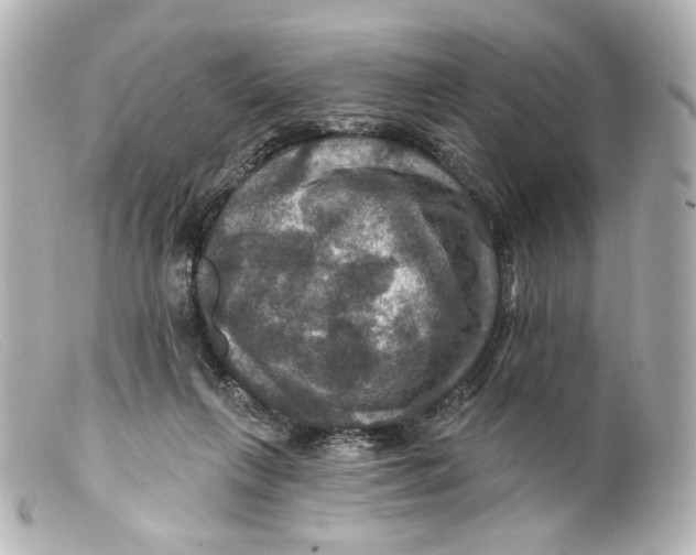 X0000099380263200805291134