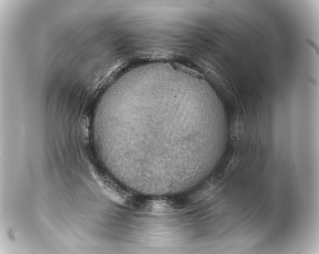 X0000099380264200805291135